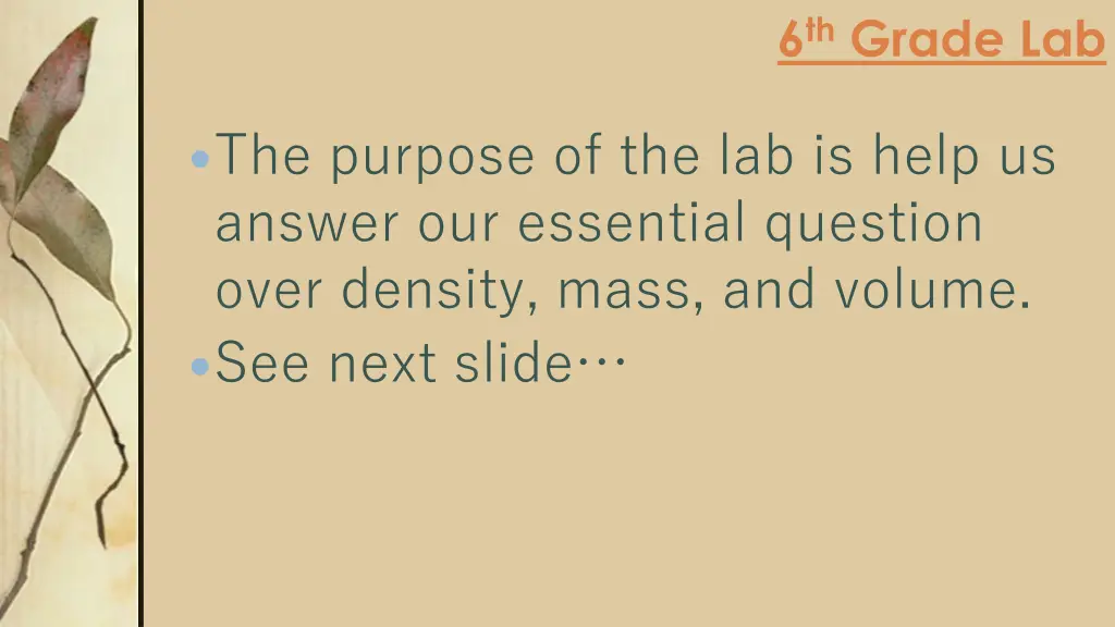 6 th grade lab