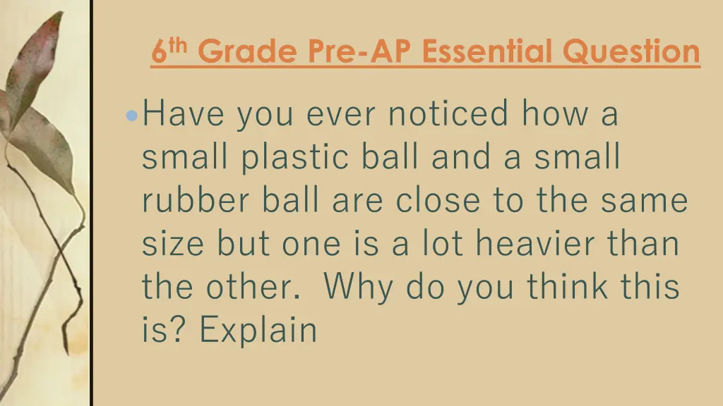 6 th grade pre ap essential question