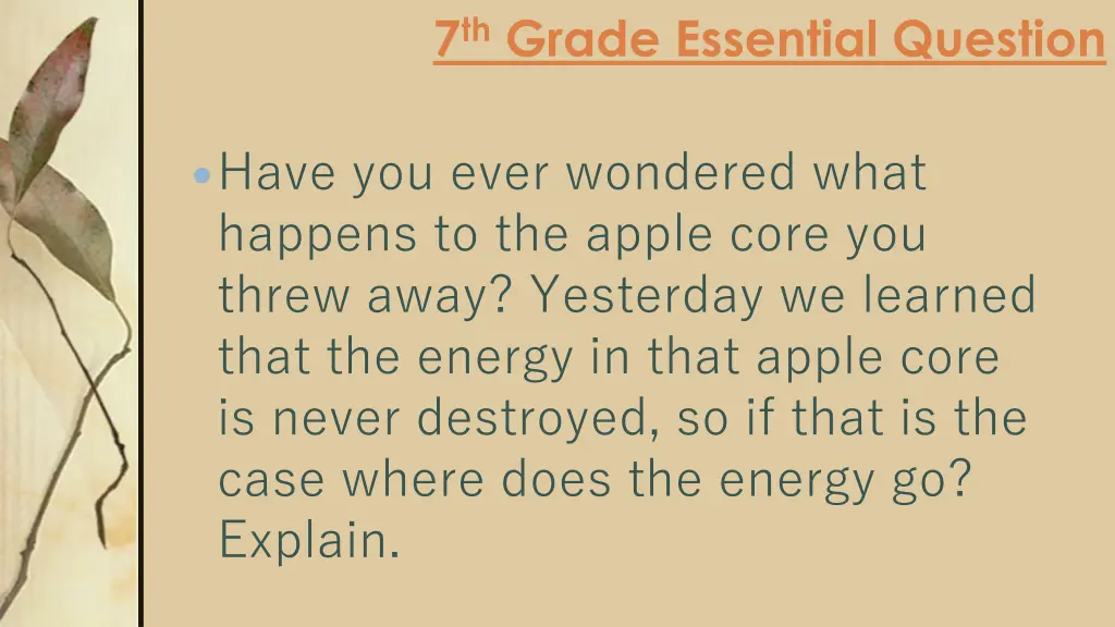 7 th grade essential question