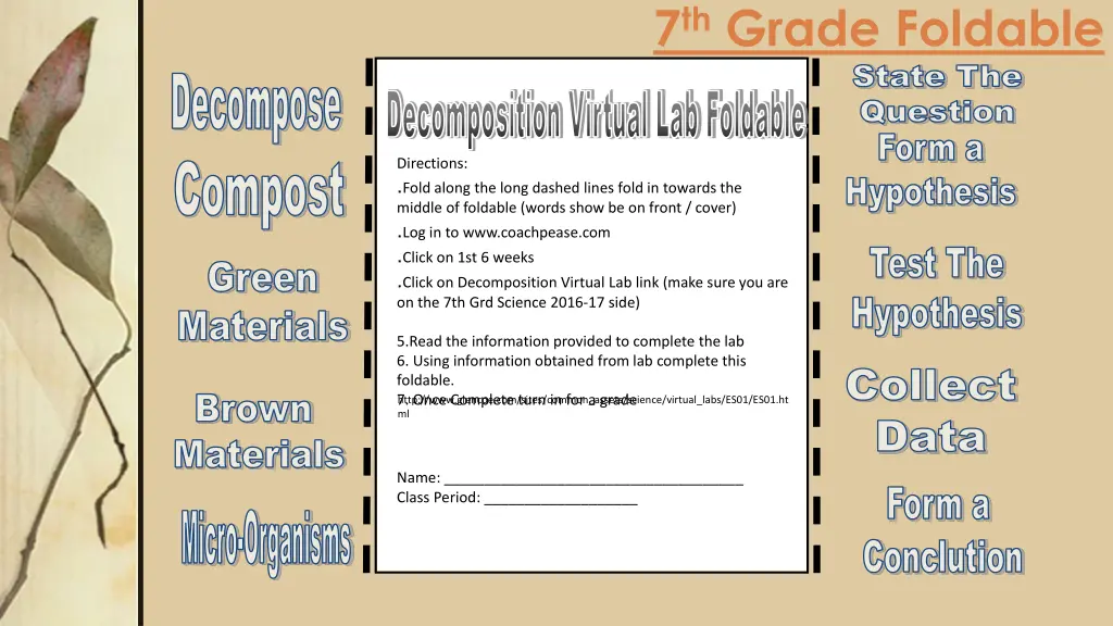 7 th grade foldable state the state the question