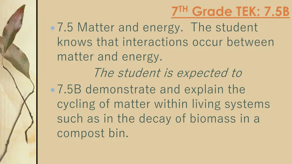 7 th grade tek 7 5b