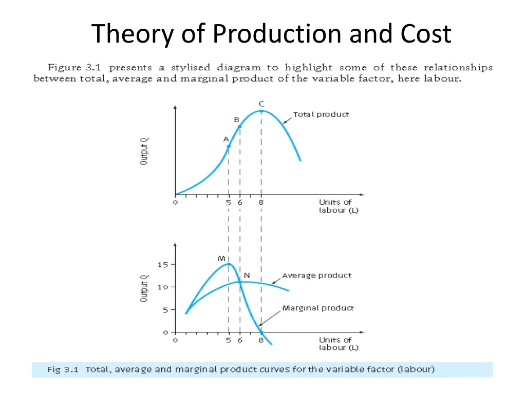 theory of production and cost 3