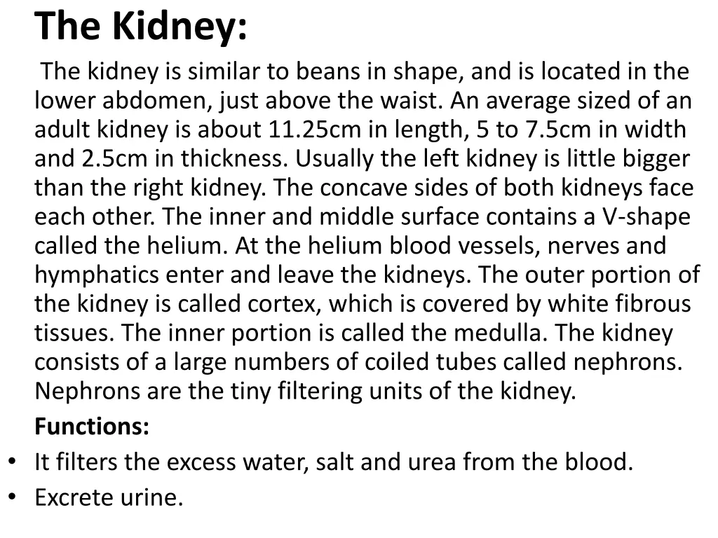 the kidney the kidney is similar to beans