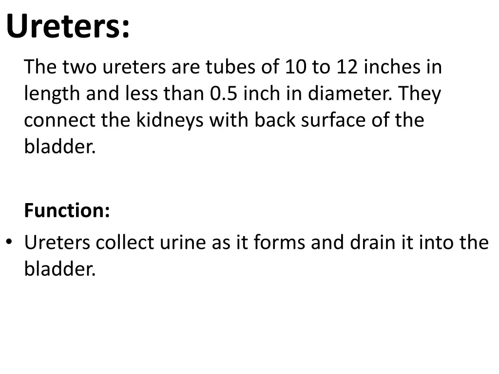 ureters the two ureters are tubes