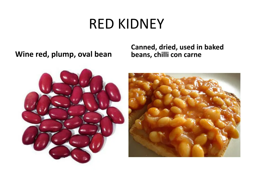 red kidney