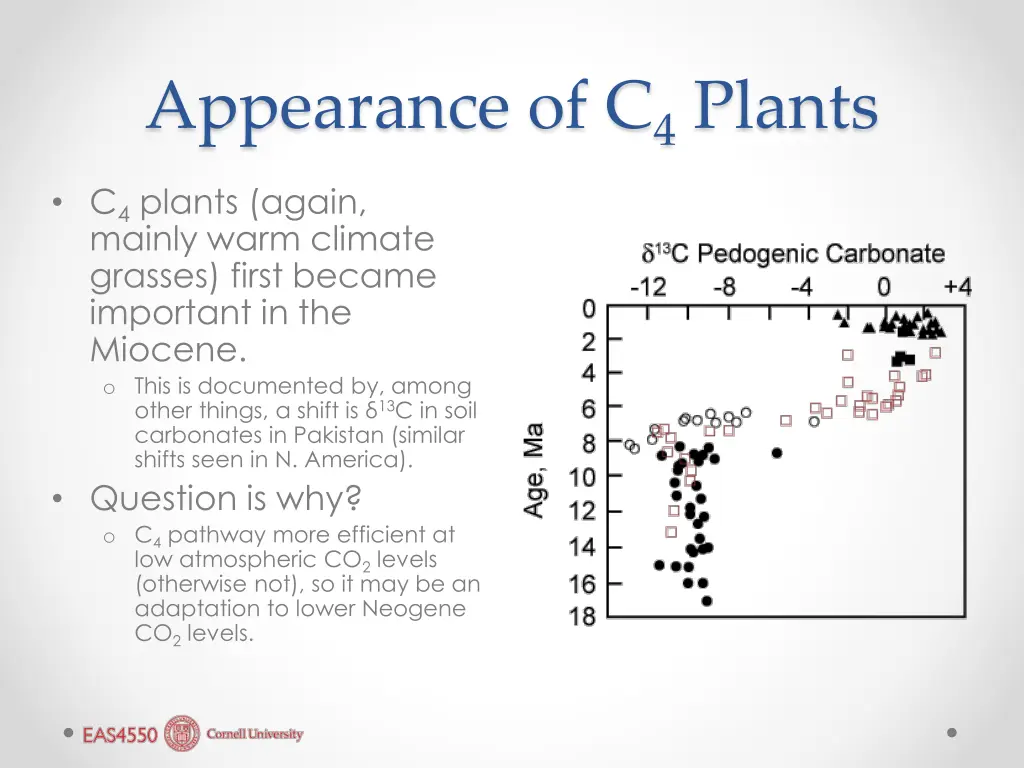 appearance of c 4 plants