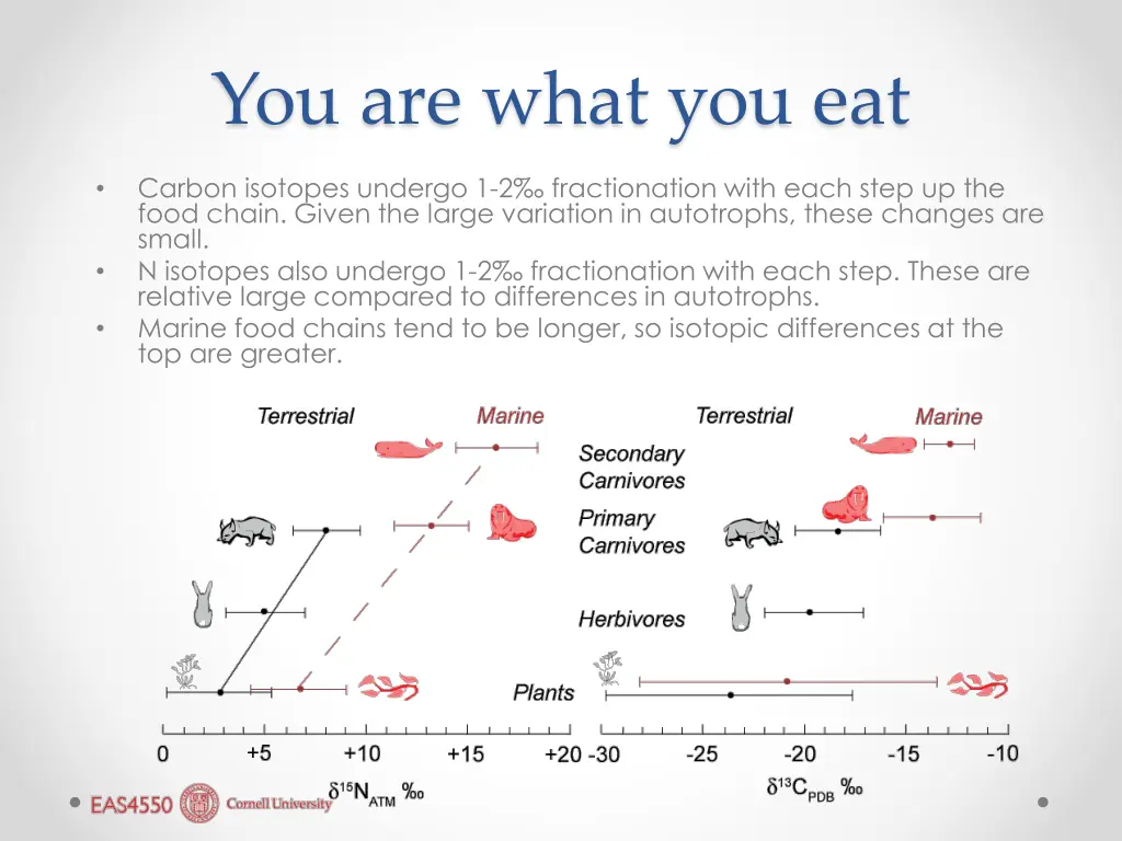 you are what you eat