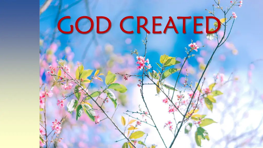 god created