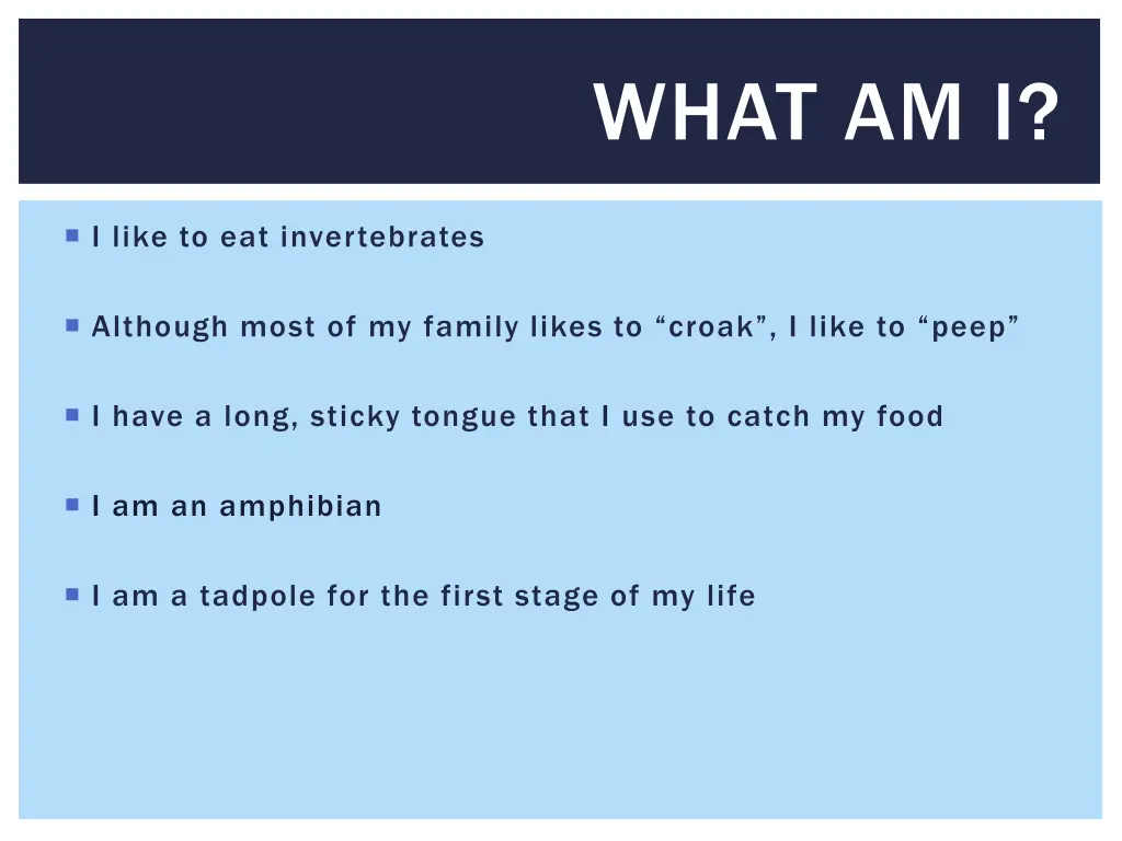 what am i 1