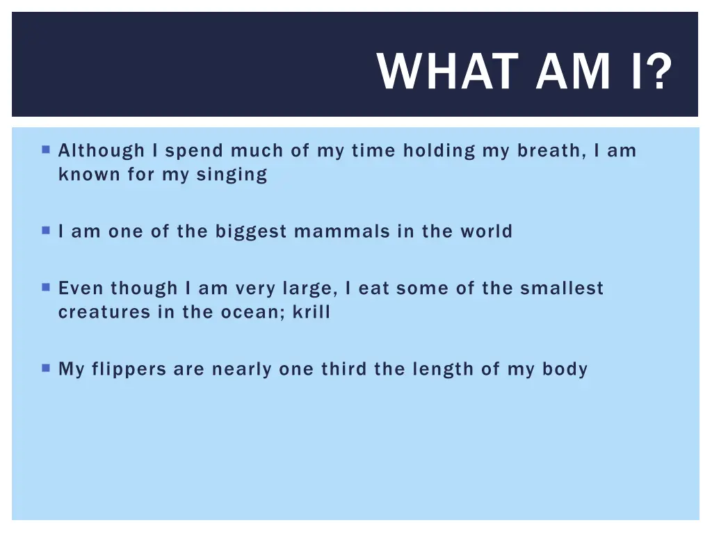what am i 2