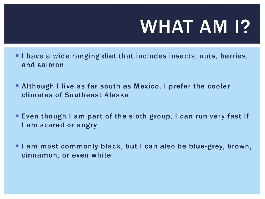 what am i