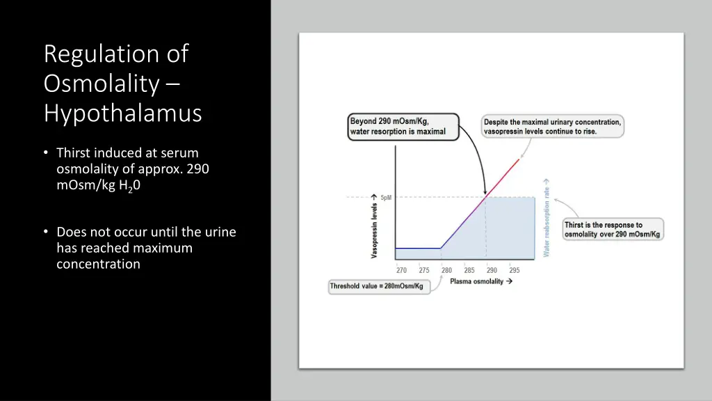 regulation of osmolality hypothalamus