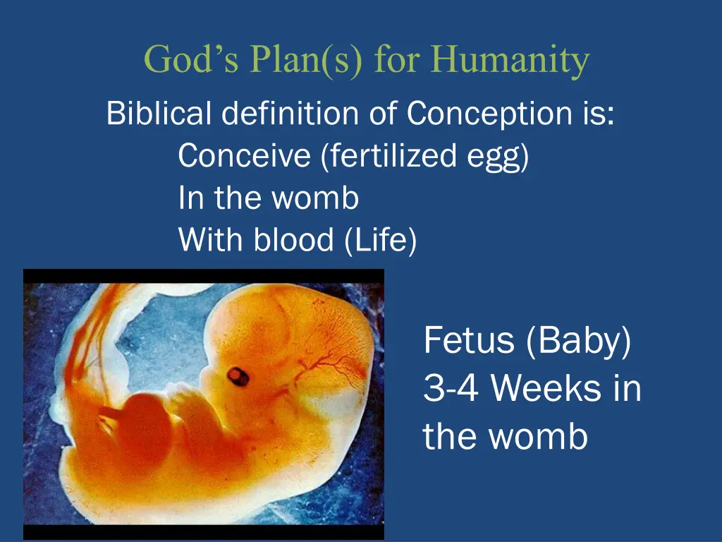 god s plan s for humanity biblical definition