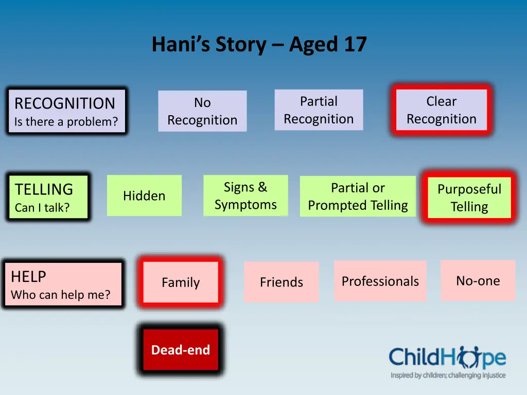 hani s story aged 17