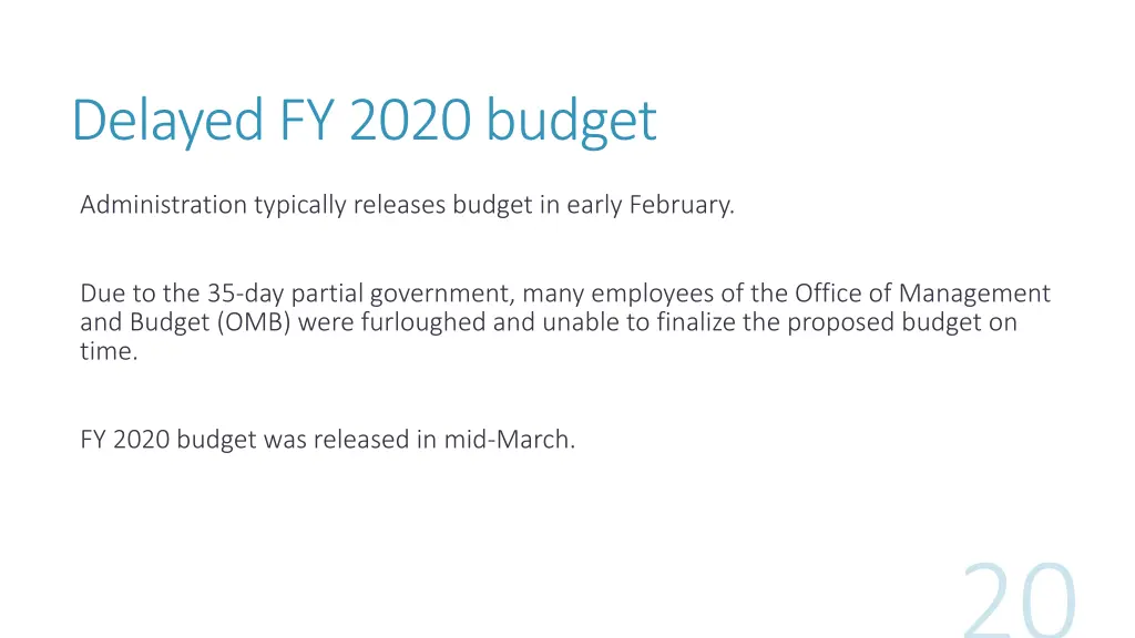 delayed fy 2020 budget
