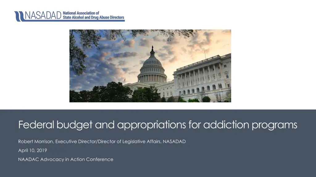 federal budget and appropriations for addiction