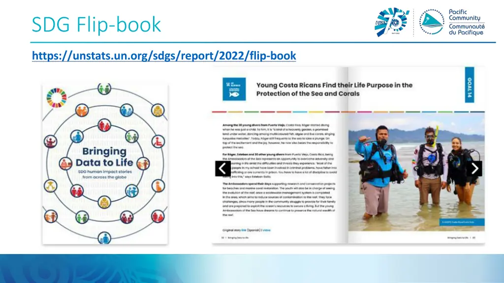 sdg flip book