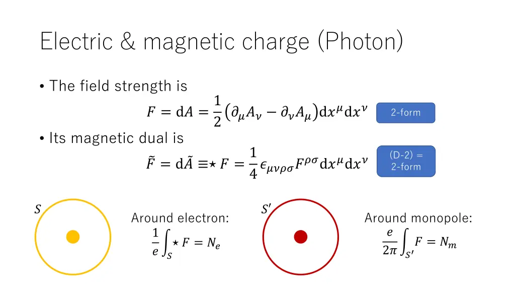 electric magnetic charge photon