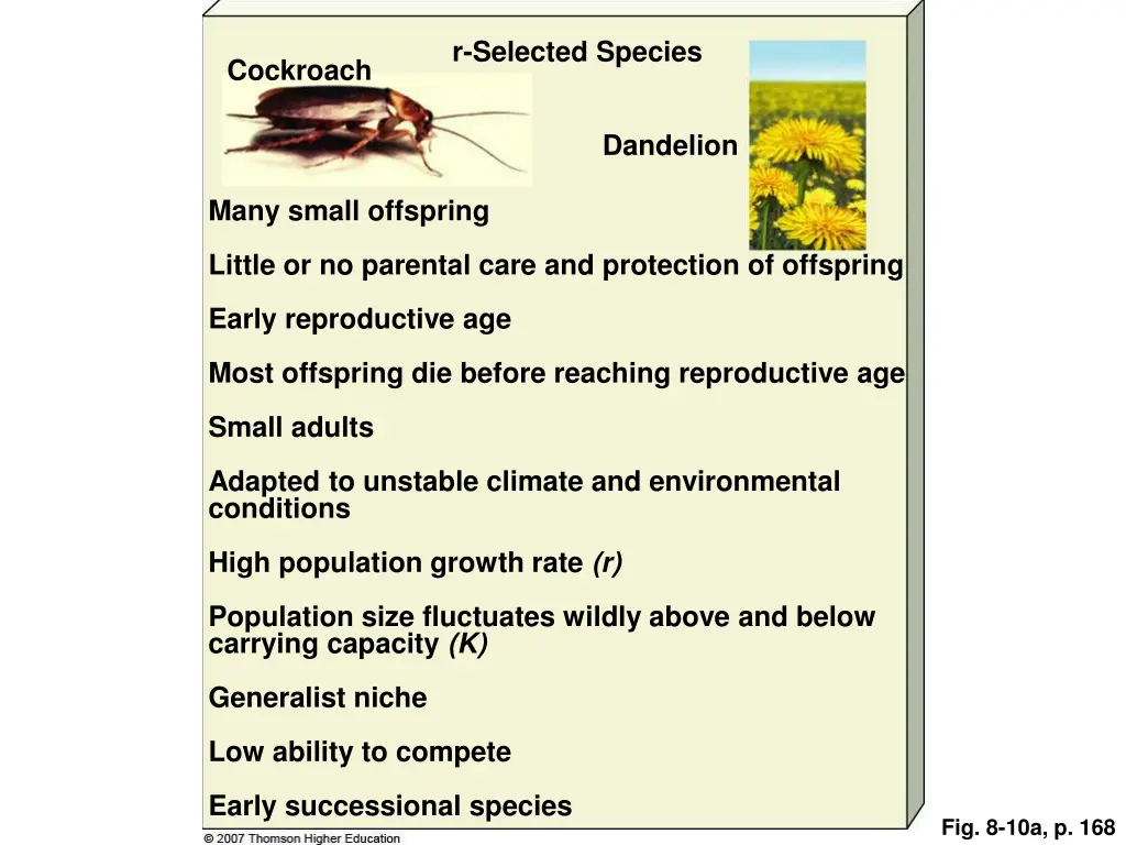 r selected species