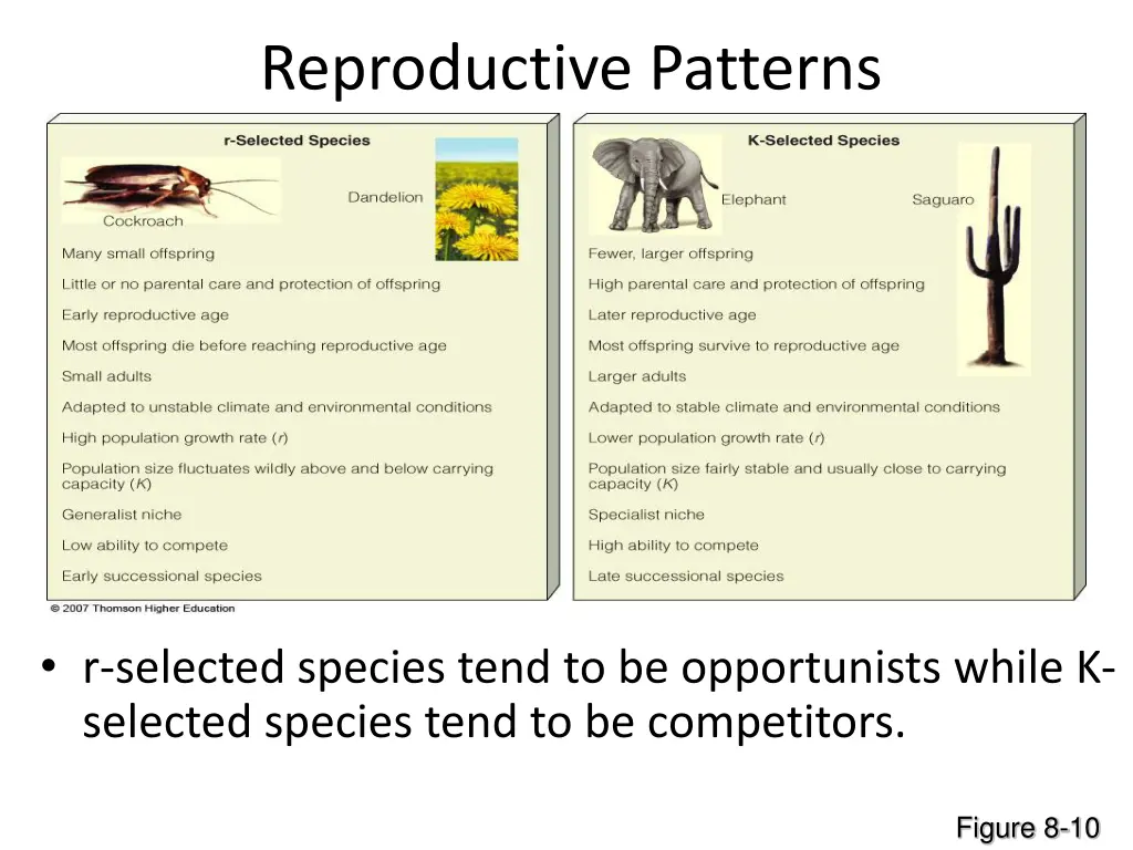 reproductive patterns