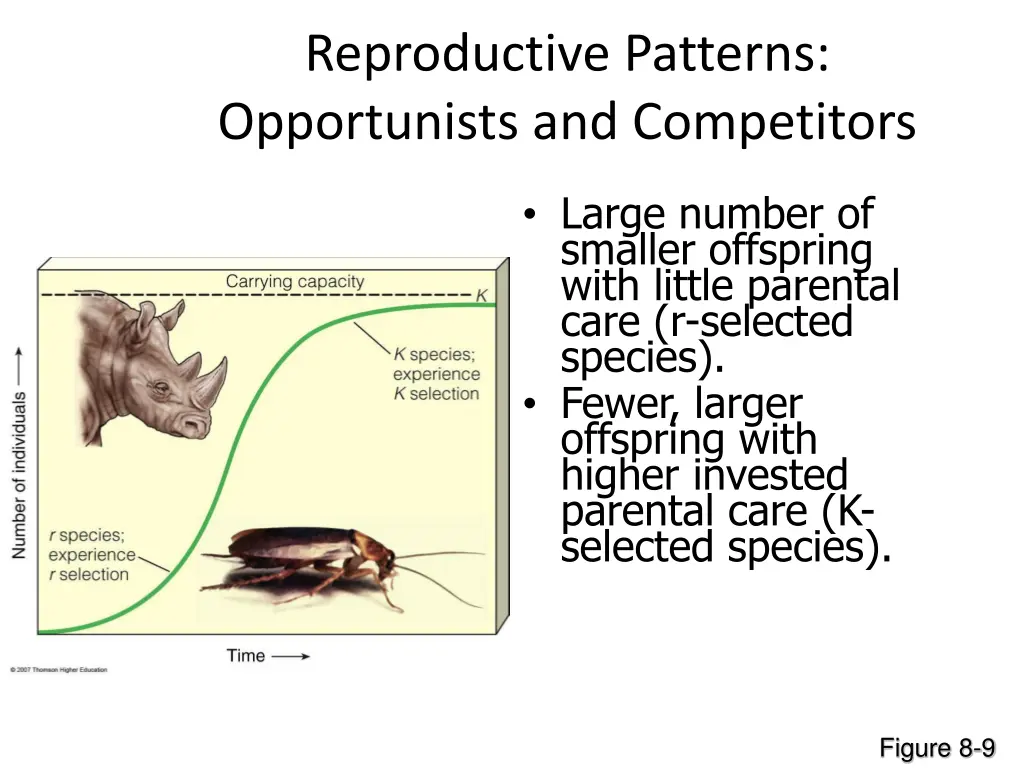 reproductive patterns opportunists and competitors