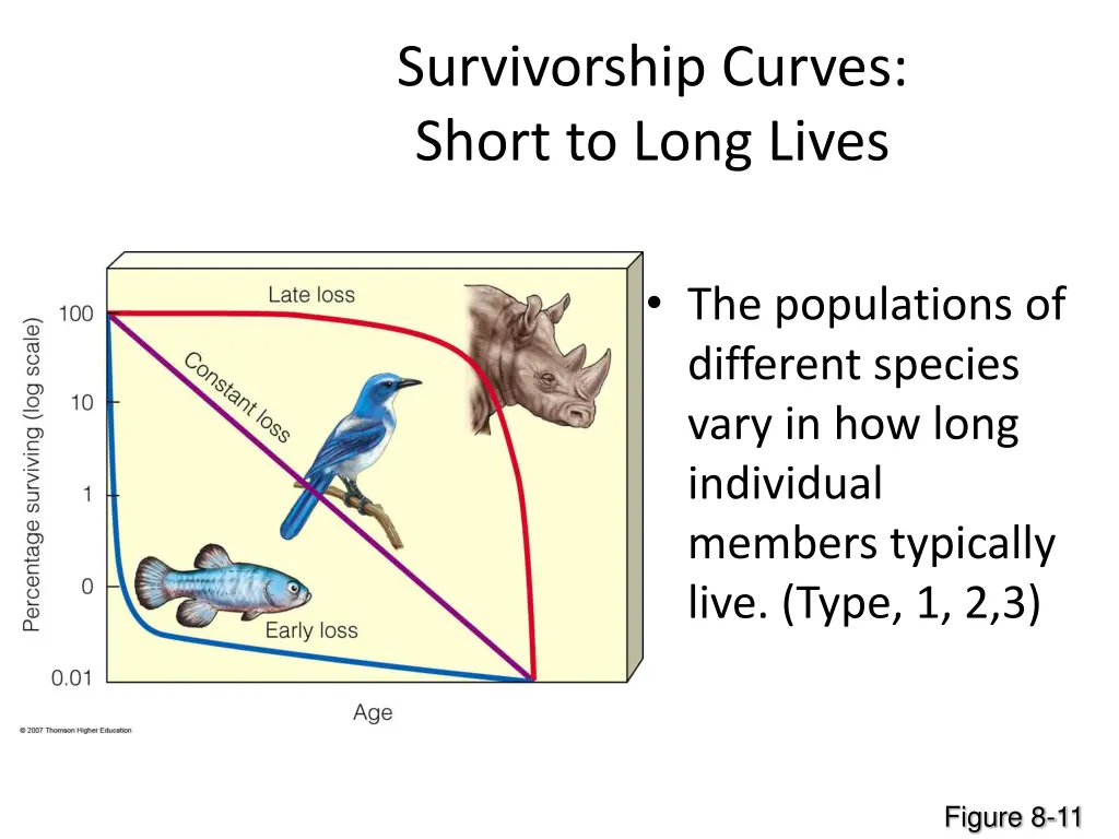 survivorship curves short to long lives