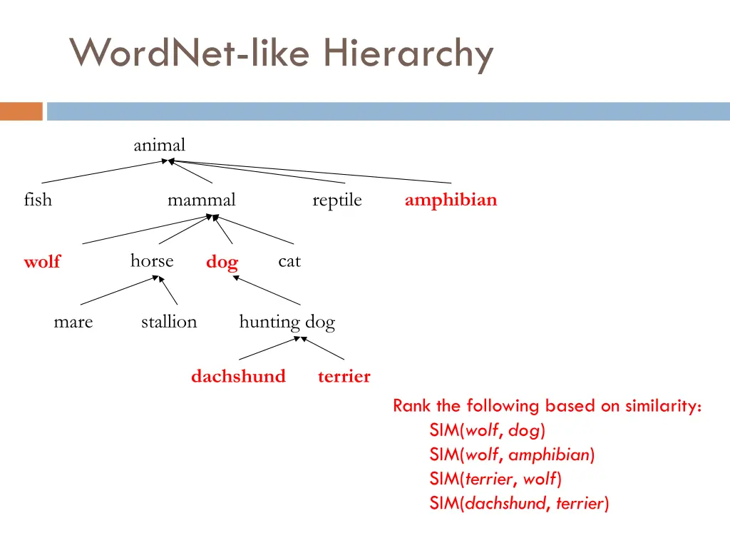 wordnet like hierarchy 1