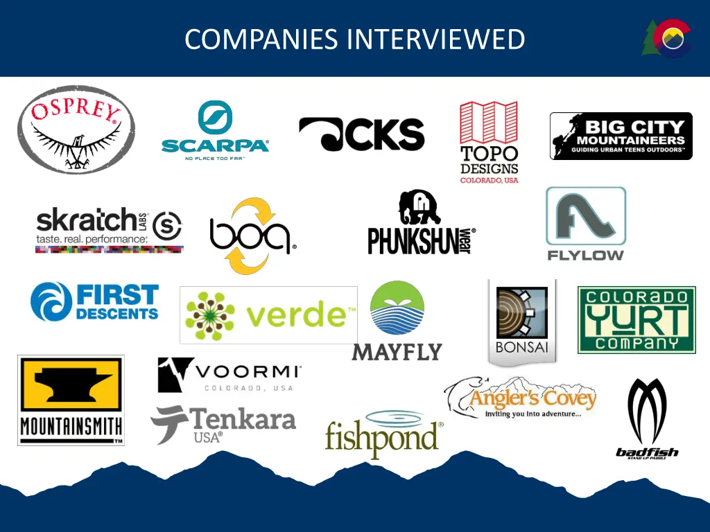 companies interviewed