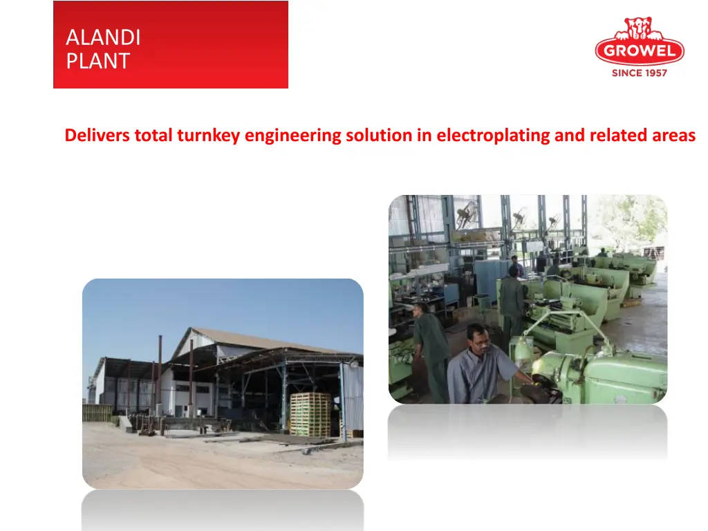 alandi plant