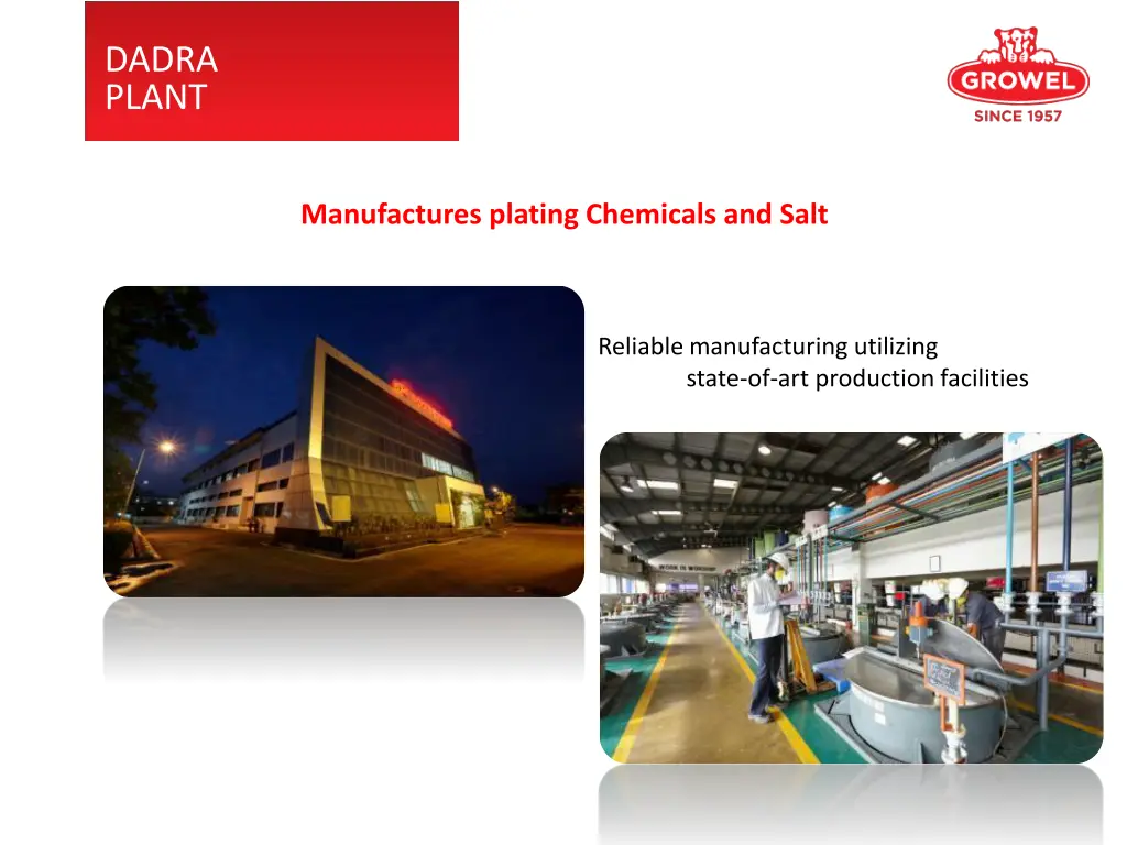 dadra plant