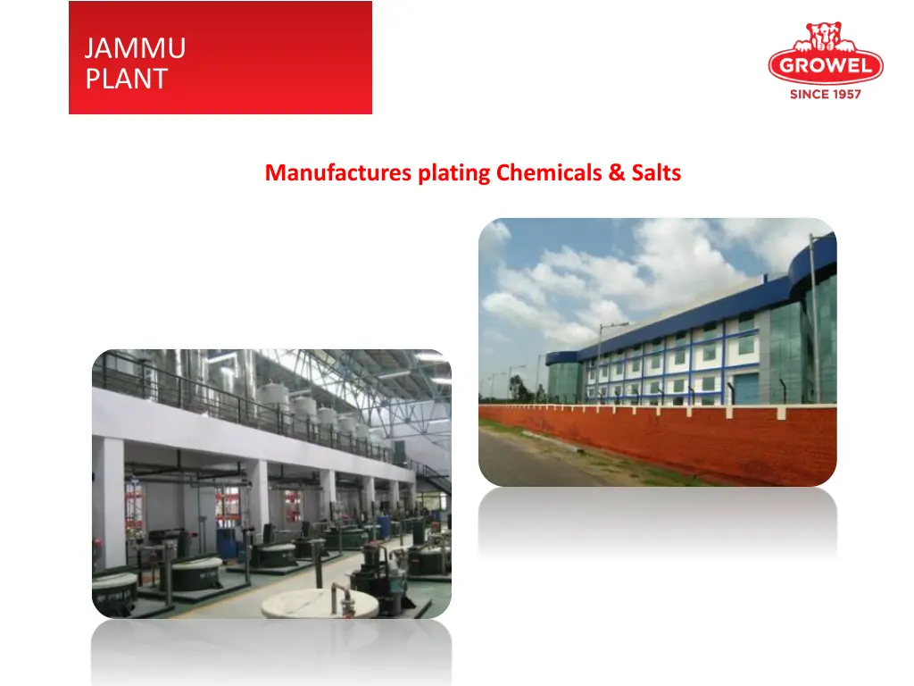 jammu plant