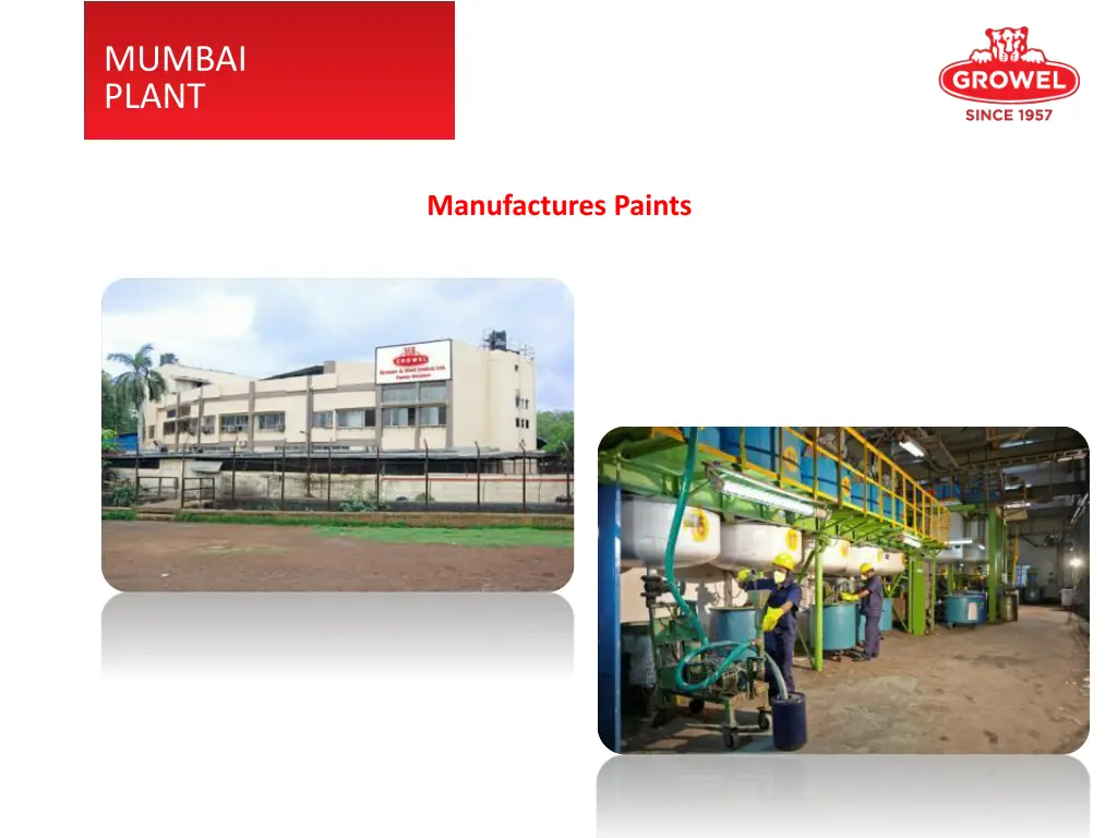 mumbai plant
