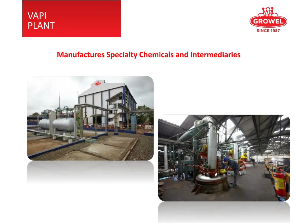 vapi plant