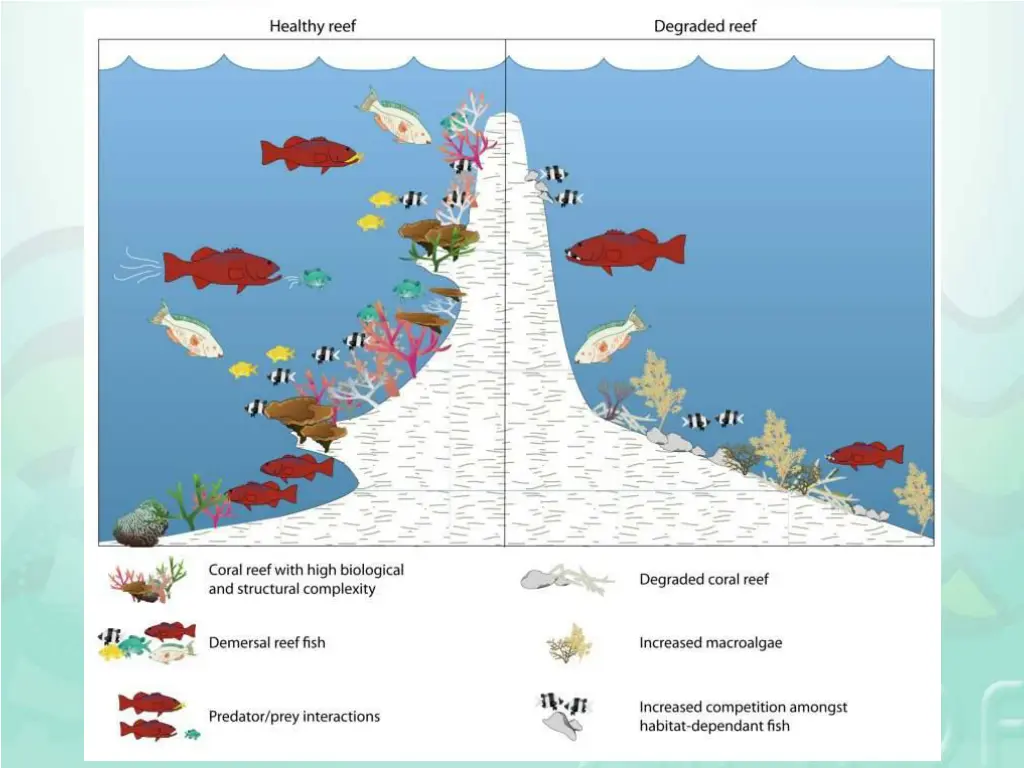 climate change and coastal fisheries morgan 2