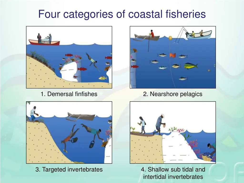 four categories of coastal fisheries