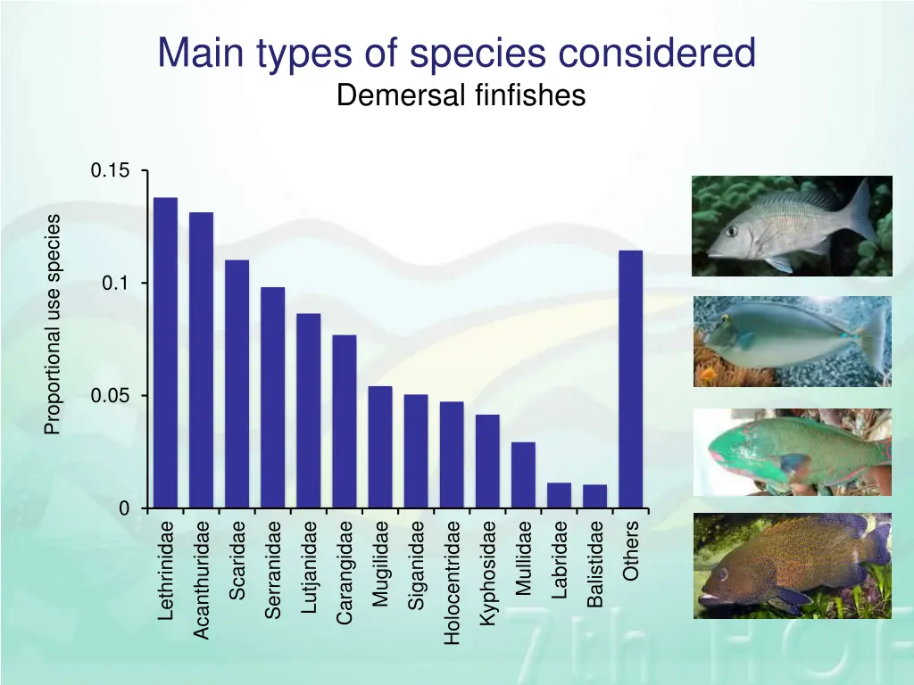 main types of species considered demersal