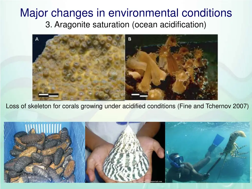 major changes in environmental conditions 3