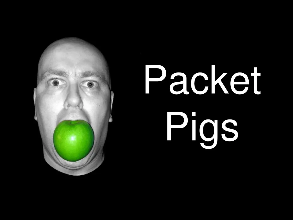 packet pigs