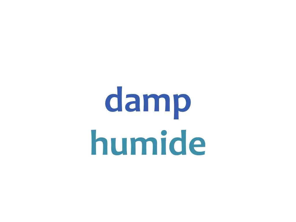damp humide
