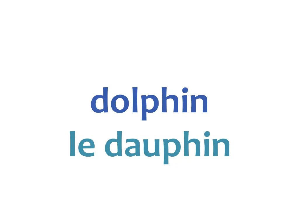 dolphin le dauphin