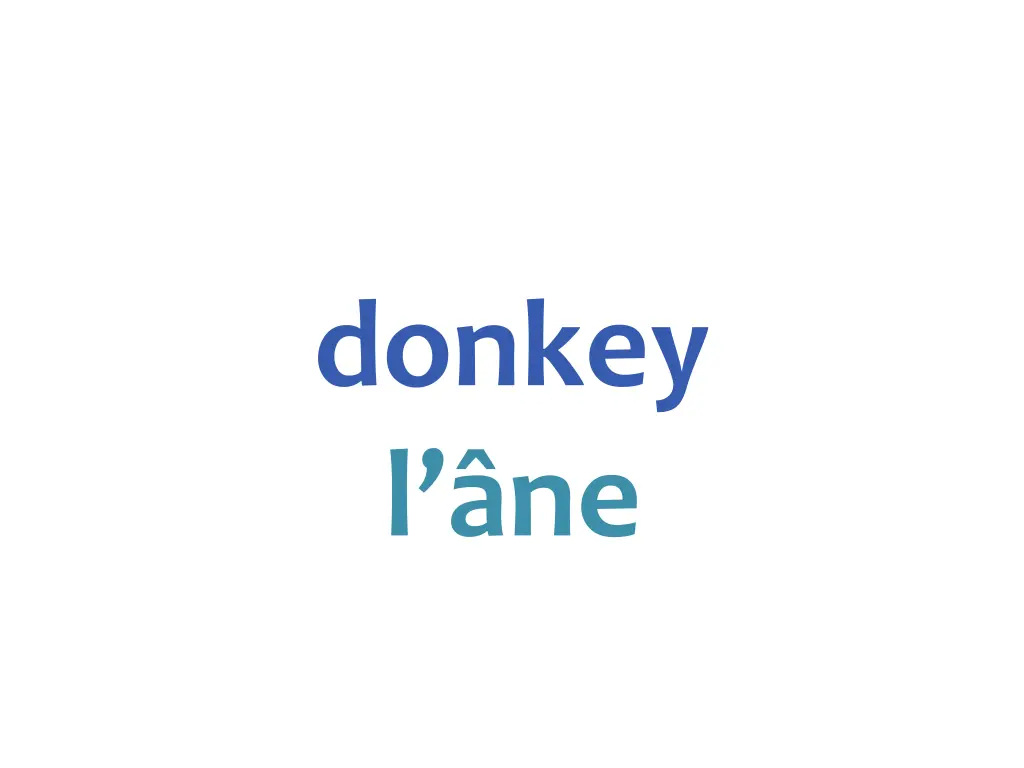 donkey l ne
