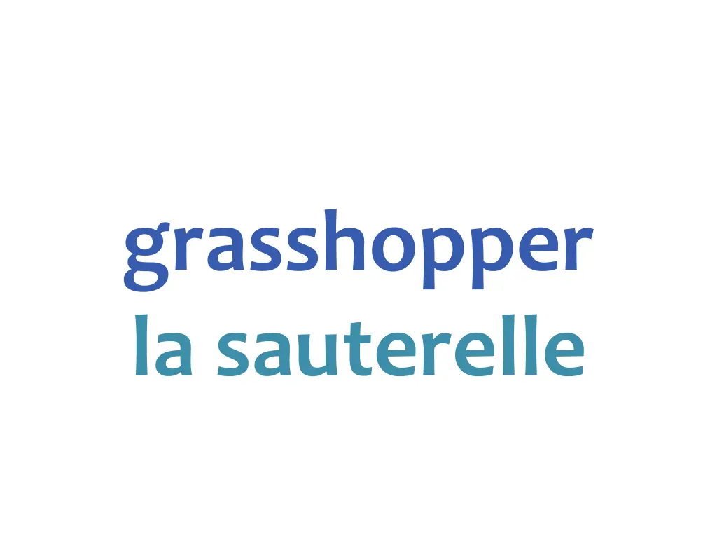 grasshopper la sauterelle