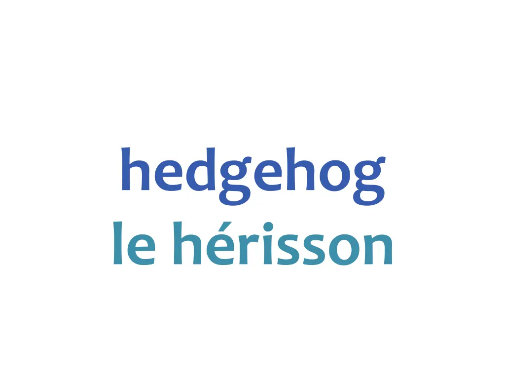 hedgehog le h risson