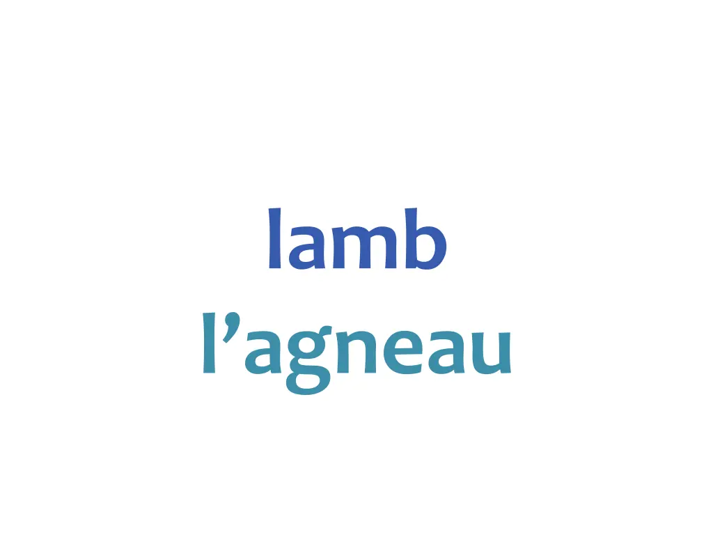 lamb l agneau