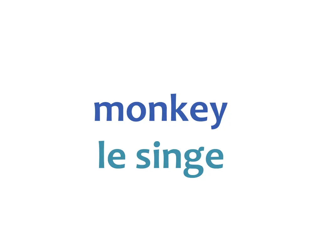 monkey le singe