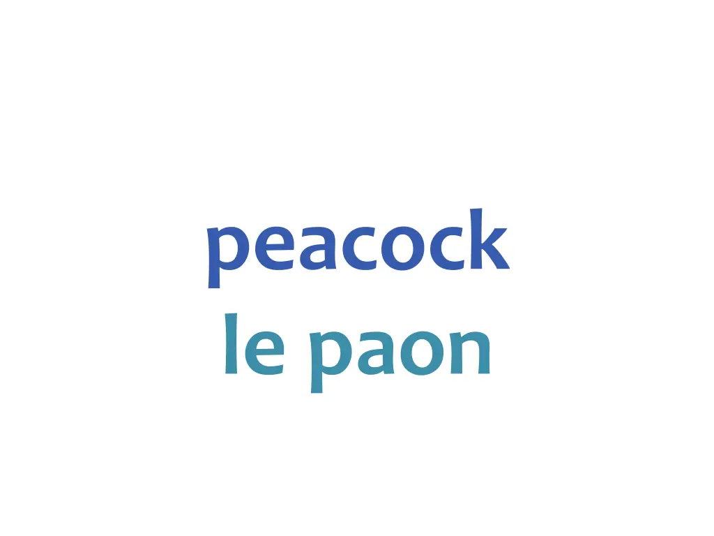 peacock le paon