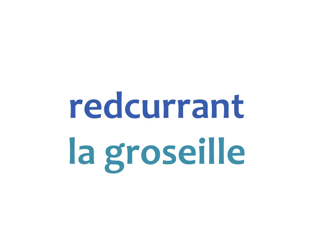 redcurrant la groseille