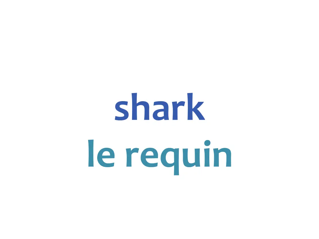 shark le requin