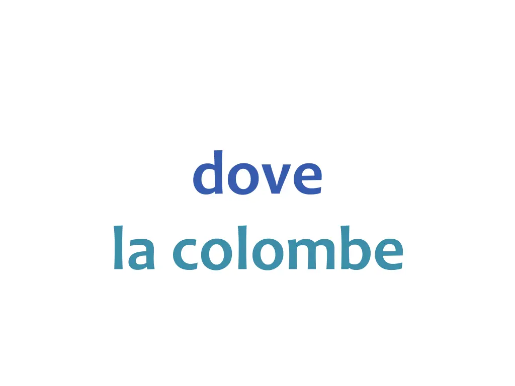 slide7