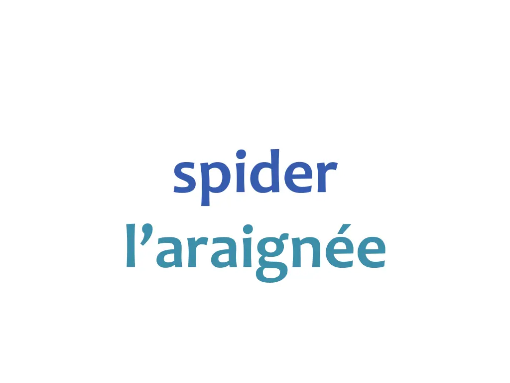 spider l araign e